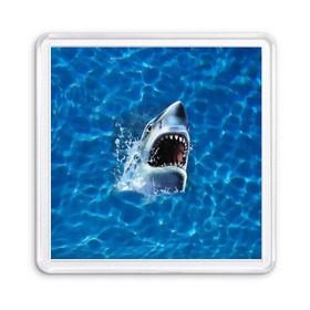 Магнит 55*55 с принтом Пасть акулы в Тюмени, Пластик | Размер: 65*65 мм; Размер печати: 55*55 мм | акула | атака | белая | брызги | вода | волны | зубы | капли | море | океан | опасность | синяя | челюсти | эффект