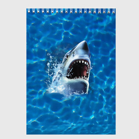 Скетчбук с принтом Пасть акулы в Тюмени, 100% бумага
 | 48 листов, плотность листов — 100 г/м2, плотность картонной обложки — 250 г/м2. Листы скреплены сверху удобной пружинной спиралью | акула | атака | белая | брызги | вода | волны | зубы | капли | море | океан | опасность | синяя | челюсти | эффект