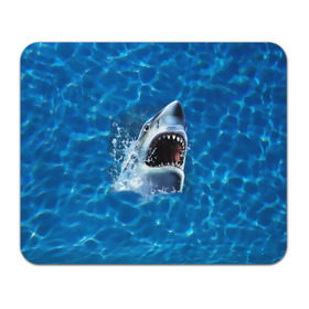 Коврик прямоугольный с принтом Пасть акулы в Тюмени, натуральный каучук | размер 230 х 185 мм; запечатка лицевой стороны | акула | атака | белая | брызги | вода | волны | зубы | капли | море | океан | опасность | синяя | челюсти | эффект