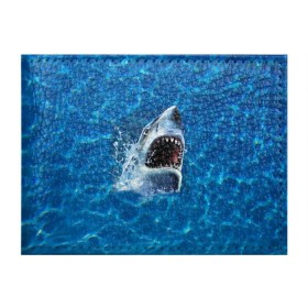 Обложка для студенческого билета с принтом Пасть акулы в Тюмени, натуральная кожа | Размер: 11*8 см; Печать на всей внешней стороне | Тематика изображения на принте: акула | атака | белая | брызги | вода | волны | зубы | капли | море | океан | опасность | синяя | челюсти | эффект