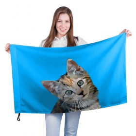 Флаг 3D с принтом Котик в Тюмени, 100% полиэстер | плотность ткани — 95 г/м2, размер — 67 х 109 см. Принт наносится с одной стороны | 