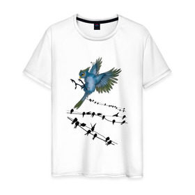 Мужская футболка хлопок с принтом Ласточка в Тюмени, 100% хлопок | прямой крой, круглый вырез горловины, длина до линии бедер, слегка спущенное плечо. | весна | колибри | крылья | мызыка | ноты | пение | перо | перышко | перья