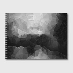 Альбом для рисования с принтом Polygon gray в Тюмени, 100% бумага
 | матовая бумага, плотность 200 мг. | Тематика изображения на принте: abstraction | polygon | абстракция | грань | краски | кубик | кубики | линии | мозаика | ребро | текстура | узор