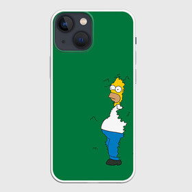 Чехол для iPhone 13 mini с принтом Green в Тюмени,  |  | Тематика изображения на принте: homer | simpsons | гомер | симпсон | симпсоны