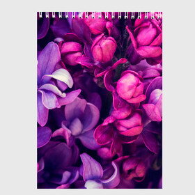 Скетчбук с принтом Тюльпановый сад в Тюмени, 100% бумага
 | 48 листов, плотность листов — 100 г/м2, плотность картонной обложки — 250 г/м2. Листы скреплены сверху удобной пружинной спиралью | flower | краски | природа | розы | тюльпаны | цветы