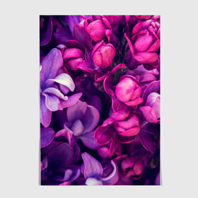 Постер с принтом Тюльпановый сад в Тюмени, 100% бумага
 | бумага, плотность 150 мг. Матовая, но за счет высокого коэффициента гладкости имеет небольшой блеск и дает на свету блики, но в отличии от глянцевой бумаги не покрыта лаком | flower | краски | природа | розы | тюльпаны | цветы