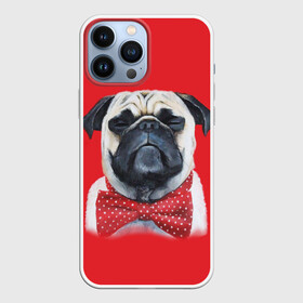 Чехол для iPhone 13 Pro Max с принтом Довольный мопс в Тюмени,  |  | бабочка | друг | животное | зверь | мопс | собака | щенок