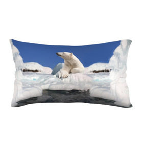 Подушка 3D антистресс с принтом Арктика в Тюмени, наволочка — 100% полиэстер, наполнитель — вспененный полистирол | состоит из подушки и наволочки на молнии | animals | bear | ice | nature | polar bear | power | travel | белый медведь | животные | лёд | медведь | природа | путешествия | сила | снег