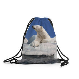 Рюкзак-мешок 3D с принтом Арктика в Тюмени, 100% полиэстер | плотность ткани — 200 г/м2, размер — 35 х 45 см; лямки — толстые шнурки, застежка на шнуровке, без карманов и подкладки | animals | bear | ice | nature | polar bear | power | travel | белый медведь | животные | лёд | медведь | природа | путешествия | сила | снег