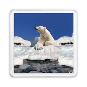 Магнит 55*55 с принтом Арктика в Тюмени, Пластик | Размер: 65*65 мм; Размер печати: 55*55 мм | Тематика изображения на принте: animals | bear | ice | nature | polar bear | power | travel | белый медведь | животные | лёд | медведь | природа | путешествия | сила | снег