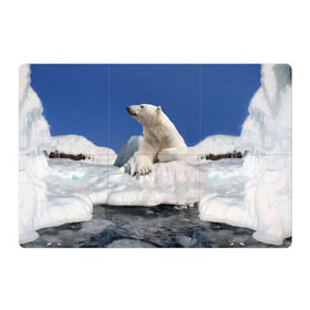 Магнитный плакат 3Х2 с принтом Арктика в Тюмени, Полимерный материал с магнитным слоем | 6 деталей размером 9*9 см | Тематика изображения на принте: animals | bear | ice | nature | polar bear | power | travel | белый медведь | животные | лёд | медведь | природа | путешествия | сила | снег