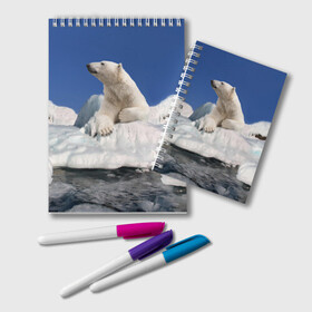 Блокнот с принтом Арктика в Тюмени, 100% бумага | 48 листов, плотность листов — 60 г/м2, плотность картонной обложки — 250 г/м2. Листы скреплены удобной пружинной спиралью. Цвет линий — светло-серый
 | animals | bear | ice | nature | polar bear | power | travel | белый медведь | животные | лёд | медведь | природа | путешествия | сила | снег