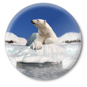 Значок с принтом Арктика в Тюмени,  металл | круглая форма, металлическая застежка в виде булавки | Тематика изображения на принте: animals | bear | ice | nature | polar bear | power | travel | белый медведь | животные | лёд | медведь | природа | путешествия | сила | снег