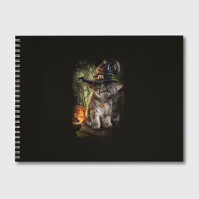 Альбом для рисования с принтом Ведьмин котенок в Тюмени, 100% бумага
 | матовая бумага, плотность 200 мг. | Тематика изображения на принте: jack | ведьма | кот | котенок | кошка | тыква | хэллоуин
