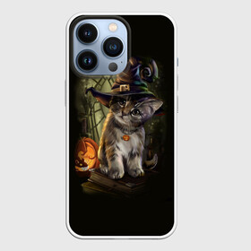 Чехол для iPhone 13 Pro с принтом Ведьмин котенок в Тюмени,  |  | Тематика изображения на принте: jack | ведьма | кот | котенок | кошка | тыква | хэллоуин
