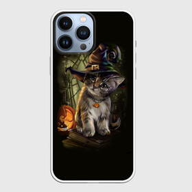 Чехол для iPhone 13 Pro Max с принтом Ведьмин котенок в Тюмени,  |  | Тематика изображения на принте: jack | ведьма | кот | котенок | кошка | тыква | хэллоуин