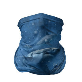 Бандана-труба 3D с принтом Shark в Тюмени, 100% полиэстер, ткань с особыми свойствами — Activecool | плотность 150‒180 г/м2; хорошо тянется, но сохраняет форму | fish | ocean | акула | вода | животные | море | океан | рыба | челюсти