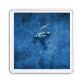Магнит 55*55 с принтом Shark в Тюмени, Пластик | Размер: 65*65 мм; Размер печати: 55*55 мм | fish | ocean | акула | вода | животные | море | океан | рыба | челюсти