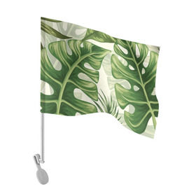 Флаг для автомобиля с принтом Папоротник в Тюмени, 100% полиэстер | Размер: 30*21 см | Тематика изображения на принте: vppdgryphon | арт | краска | лес | папоротник | тропики | цветные | цветок | цветы