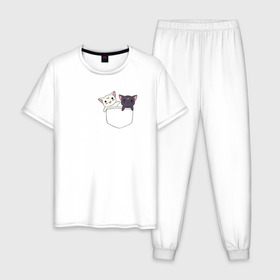 Мужская пижама хлопок с принтом Кисы в Тюмени, 100% хлопок | брюки и футболка прямого кроя, без карманов, на брюках мягкая резинка на поясе и по низу штанин
 | anime | cat | sailor moon | аниме | кисы | сейлор мун