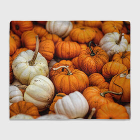 Плед 3D с принтом тыквы в Тюмени, 100% полиэстер | закругленные углы, все края обработаны. Ткань не мнется и не растягивается | halloween | дача | овощи | октябрь | оранжевый | осень | сентябрь | тыква | хеллуин
