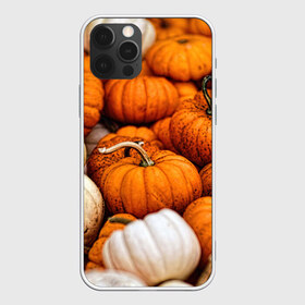 Чехол для iPhone 12 Pro Max с принтом тыквы в Тюмени, Силикон |  | halloween | дача | овощи | октябрь | оранжевый | осень | сентябрь | тыква | хеллуин