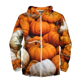 Мужская ветровка 3D с принтом тыквы в Тюмени, 100% полиэстер | подол и капюшон оформлены резинкой с фиксаторами, два кармана без застежек по бокам, один потайной карман на груди | halloween | дача | овощи | октябрь | оранжевый | осень | сентябрь | тыква | хеллуин