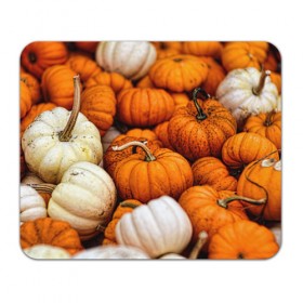 Коврик прямоугольный с принтом тыквы в Тюмени, натуральный каучук | размер 230 х 185 мм; запечатка лицевой стороны | halloween | дача | овощи | октябрь | оранжевый | осень | сентябрь | тыква | хеллуин