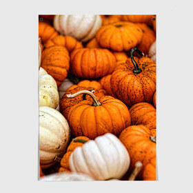Постер с принтом тыквы в Тюмени, 100% бумага
 | бумага, плотность 150 мг. Матовая, но за счет высокого коэффициента гладкости имеет небольшой блеск и дает на свету блики, но в отличии от глянцевой бумаги не покрыта лаком | halloween | дача | овощи | октябрь | оранжевый | осень | сентябрь | тыква | хеллуин