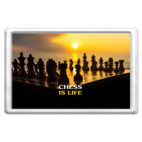 Магнит 45*70 с принтом Шахматы - это жизнь в Тюмени, Пластик | Размер: 78*52 мм; Размер печати: 70*45 | chess | game | sport | гроссмейстер | закат | игра | интеллект | солнце | спорт | фигура | шахматист | шахматы
