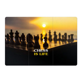 Магнитный плакат 3Х2 с принтом Шахматы - это жизнь в Тюмени, Полимерный материал с магнитным слоем | 6 деталей размером 9*9 см | Тематика изображения на принте: chess | game | sport | гроссмейстер | закат | игра | интеллект | солнце | спорт | фигура | шахматист | шахматы
