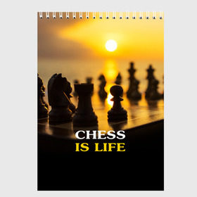 Скетчбук с принтом Шахматы - это жизнь в Тюмени, 100% бумага
 | 48 листов, плотность листов — 100 г/м2, плотность картонной обложки — 250 г/м2. Листы скреплены сверху удобной пружинной спиралью | Тематика изображения на принте: chess | game | sport | гроссмейстер | закат | игра | интеллект | солнце | спорт | фигура | шахматист | шахматы