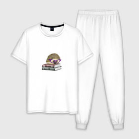 Мужская пижама хлопок с принтом Ёжик в Тюмени, 100% хлопок | брюки и футболка прямого кроя, без карманов, на брюках мягкая резинка на поясе и по низу штанин
 |  ежик