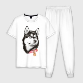 Мужская пижама хлопок с принтом Маламут в Тюмени, 100% хлопок | брюки и футболка прямого кроя, без карманов, на брюках мягкая резинка на поясе и по низу штанин
 | аляска | карандаш | маламут | рисунок | собака | хаски