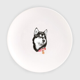 Тарелка с принтом Маламут в Тюмени, фарфор | диаметр - 210 мм
диаметр для нанесения принта - 120 мм | аляска | карандаш | маламут | рисунок | собака | хаски