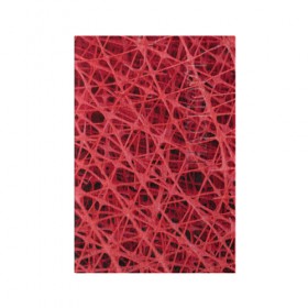 Обложка для паспорта матовая кожа с принтом Сетка в Тюмени, натуральная матовая кожа | размер 19,3 х 13,7 см; прозрачные пластиковые крепления | красный | модные | пластик | сети | сетка | текстура | цвет