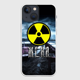 Чехол для iPhone 13 mini с принтом S.T.A.L.K.E.R.   Ж.Е.Н.Я. в Тюмени,  |  | stalker | волки | грузовик | евгения | жека евгений | женек | женечка | женя | мрак | припять | птицы | радиация | сталкер | чернобыль