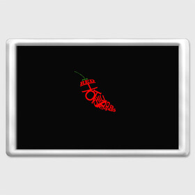 Магнит 45*70 с принтом Red Hot Chili Peppers в Тюмени, Пластик | Размер: 78*52 мм; Размер печати: 70*45 | музыка | овощ | острый | пеперс | перчик | ред | рок | хот | чили