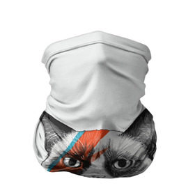 Бандана-труба 3D с принтом Grumpy cat (David Bowie) в Тюмени, 100% полиэстер, ткань с особыми свойствами — Activecool | плотность 150‒180 г/м2; хорошо тянется, но сохраняет форму | Тематика изображения на принте: бодиарт | грумпи | дэвид боуи | злой кот | интернет | котей | котик | кошка | мем | мемас | мемчик. | молния на лице | рисунок на лице | сердитый