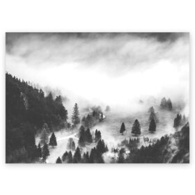 Поздравительная открытка с принтом Лес и туман в Тюмени, 100% бумага | плотность бумаги 280 г/м2, матовая, на обратной стороне линовка и место для марки
 | Тематика изображения на принте: black and white | лес | лес и туман | туман | чернобелый  фон | чернобелый лес