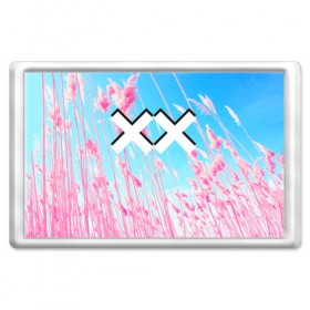 Магнит 45*70 с принтом The XX Pink в Тюмени, Пластик | Размер: 78*52 мм; Размер печати: 70*45 | 