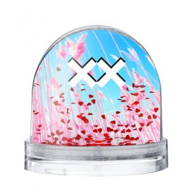 Водяной шар с принтом The XX Pink в Тюмени, Пластик | Изображение внутри шара печатается на глянцевой фотобумаге с двух сторон | 