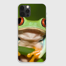 Чехол для iPhone 12 Pro с принтом Лягушка в Тюмени, силикон | область печати: задняя сторона чехла, без боковых панелей | frog | жаба | животные | зеленый | ква | лягуха | лягушка | лягушонок