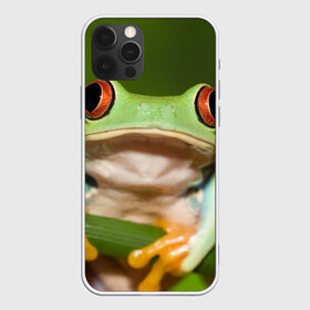 Чехол для iPhone 12 Pro Max с принтом Лягушка в Тюмени, Силикон |  | Тематика изображения на принте: frog | жаба | животные | зеленый | ква | лягуха | лягушка | лягушонок
