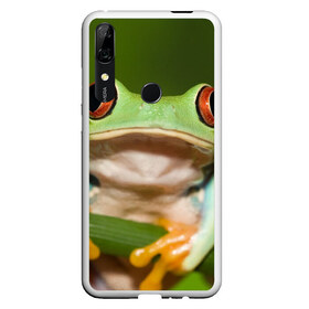 Чехол для Honor P Smart Z с принтом Лягушка в Тюмени, Силикон | Область печати: задняя сторона чехла, без боковых панелей | frog | жаба | животные | зеленый | ква | лягуха | лягушка | лягушонок