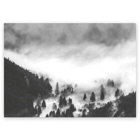 Поздравительная открытка с принтом Туманный лес в Тюмени, 100% бумага | плотность бумаги 280 г/м2, матовая, на обратной стороне линовка и место для марки
 | Тематика изображения на принте: бор | деревья | дым | елки | лес | природа | туман | чб | черно белое