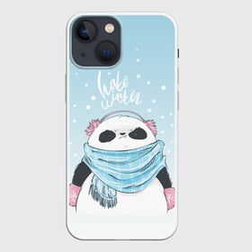 Чехол для iPhone 13 mini с принтом Hate winter в Тюмени,  |  | зима | новый год | подарок | рождество