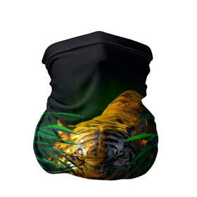 Бандана-труба 3D с принтом Тигр в джунглях в Тюмени, 100% полиэстер, ткань с особыми свойствами — Activecool | плотность 150‒180 г/м2; хорошо тянется, но сохраняет форму | 