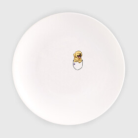 Тарелка с принтом Собачка в кармане в Тюмени, фарфор | диаметр - 210 мм
диаметр для нанесения принта - 120 мм | Тематика изображения на принте: год собаки | новый год | собака
