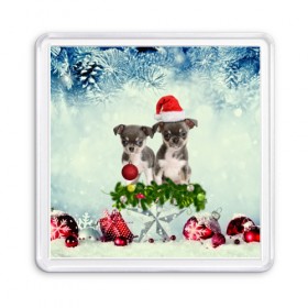 Магнит 55*55 с принтом Милые собачки в Тюмени, Пластик | Размер: 65*65 мм; Размер печати: 55*55 мм | Тематика изображения на принте: christmas | new year | год собаки | елка | елочки | новогодний | новый год | рождество | снег | снежинки | собака